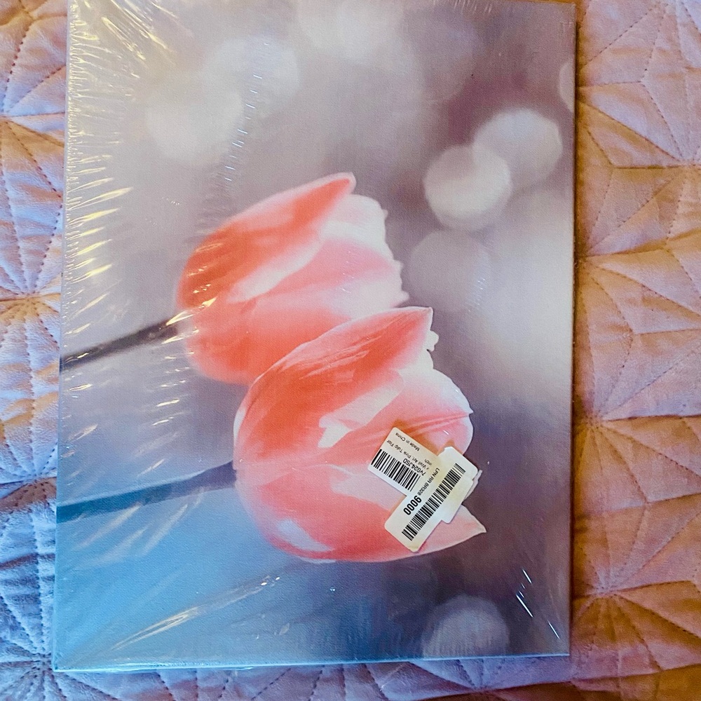 Pink Tulip Canvas Wall Art